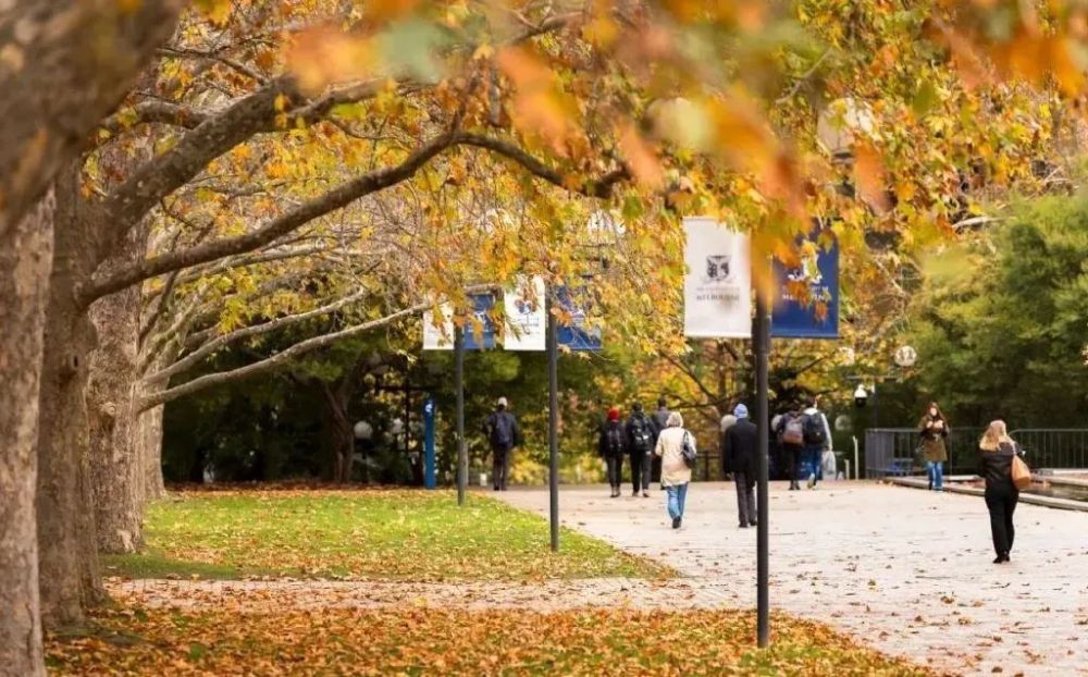 日常开销精算术：澳洲留学生饮食、交通、娱乐省钱实战手册